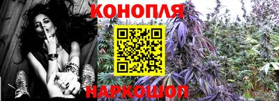 мдма Кингисепп