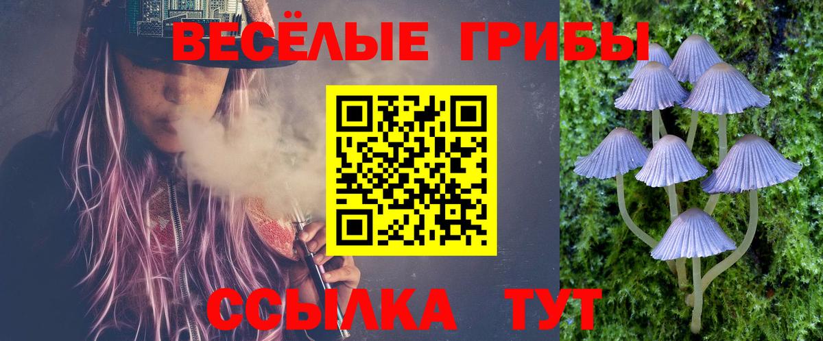 Псилоцибиновые грибы Psilocybe  Вход с VPN  Соль-Илецк 